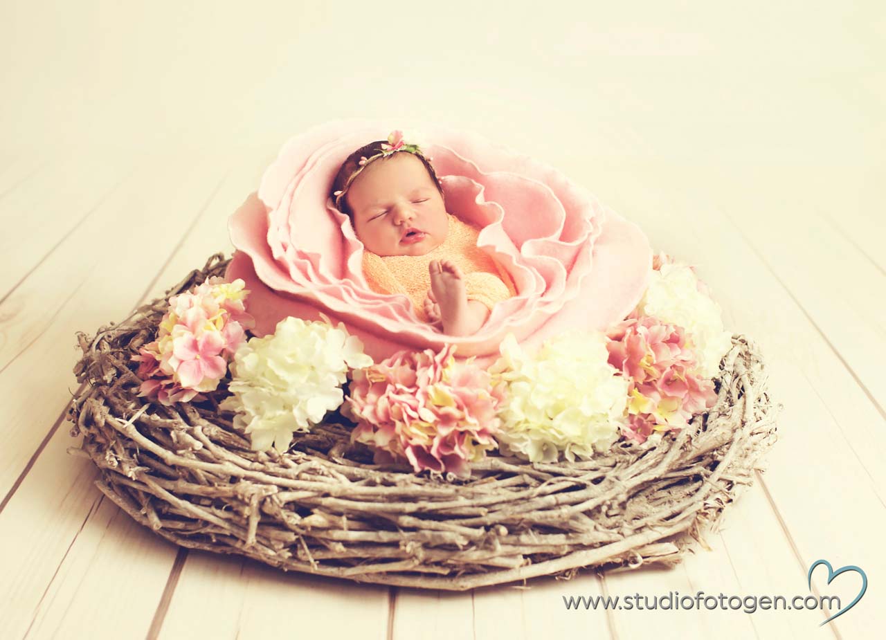 094_NEWBORN